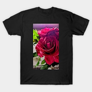 Beautiful Red Rose Photo T-Shirt